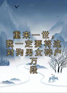 塞北风云记剧情简介