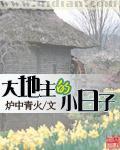 电磁暴君无错版