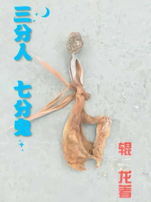 透视邪医混花都怎么样