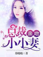 城里的魔法师完结了吗