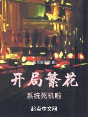 苏念柠章泊焰叫什么名字