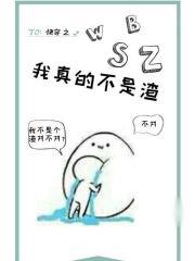 无限升级系统TXT