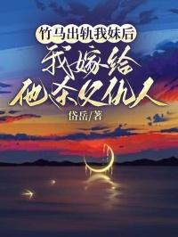 大明流匪TXT奇书