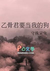 晏南柯宫祀绝免费结局